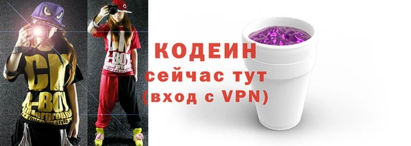 индика Волосово