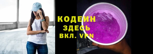 индика Волосово